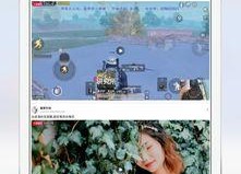 吃瓜大赛免费下载安装苹果手机