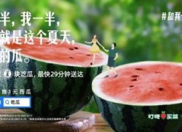 吃瓜娱乐图片文案,揭秘娱乐圈幕后趣闻